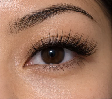Hybrid Lash Extensions in Flushing, NY — lash style illustration