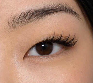 The Lash Journal Lash Curls and Lengths Explained: J, B, C, D, L and M — lash style illustration