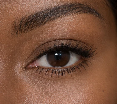 Find Your Lash Signature Lower-Lash Balance Lash Style Guide — lash style illustration