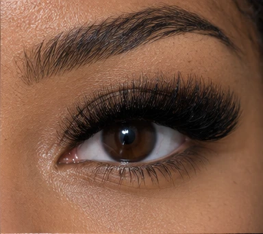 Mega Volume Lash Extensions in Flushing, NY — lash style illustration