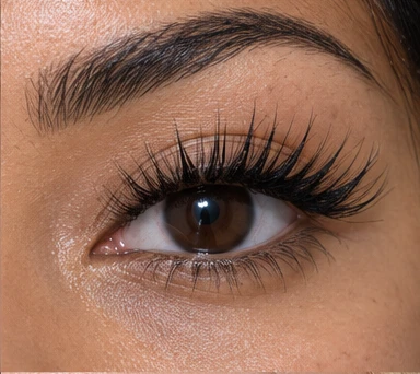 Wispy / Kim-Inspired Extensions in Flushing, NY — lash style illustration